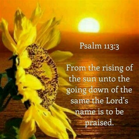 Psalm 113 kjv - Blessed be the name of the Lord, from henceforth now and for ever. Blessed be the name of the LORD from this time forth and for evermore. Blessed be the name of Yahweh, from this time forth and forevermore. The name of Jehovah is blessed, From henceforth, and unto the age. Psalm 113:2 Additional Translations ...